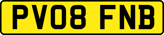 PV08FNB