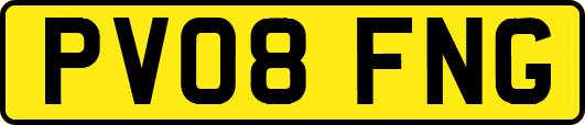 PV08FNG