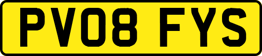PV08FYS