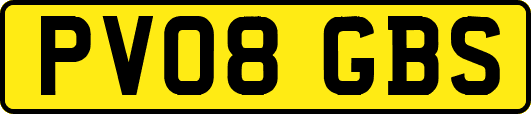 PV08GBS