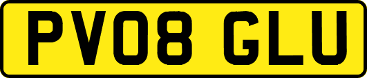 PV08GLU