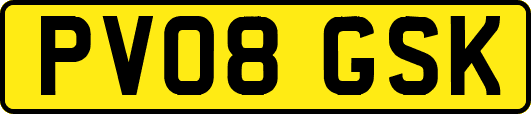 PV08GSK