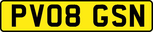 PV08GSN