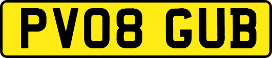 PV08GUB