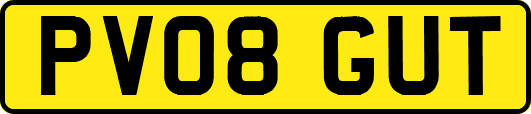 PV08GUT