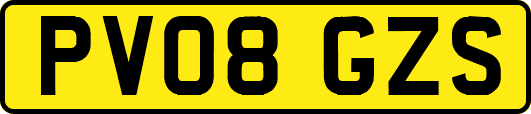 PV08GZS