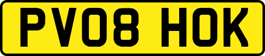 PV08HOK