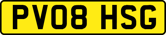 PV08HSG