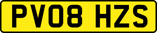 PV08HZS