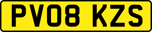PV08KZS