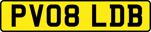 PV08LDB