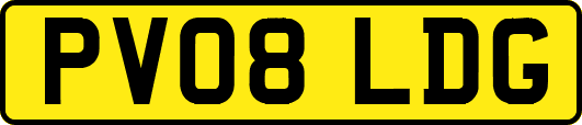 PV08LDG