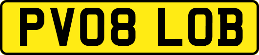 PV08LOB