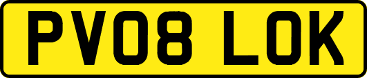 PV08LOK