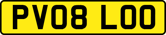 PV08LOO