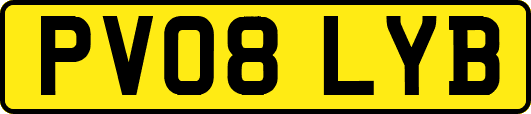 PV08LYB