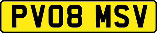 PV08MSV