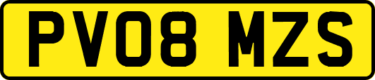 PV08MZS