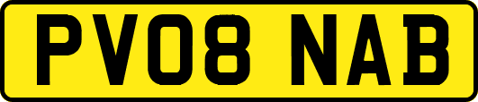 PV08NAB