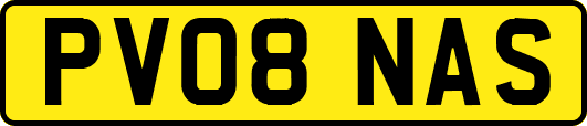 PV08NAS