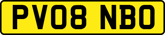 PV08NBO