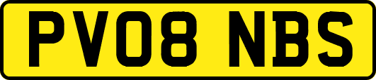 PV08NBS