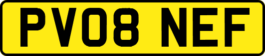 PV08NEF