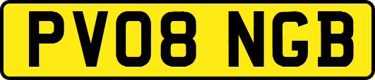 PV08NGB