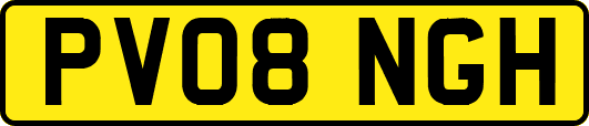 PV08NGH
