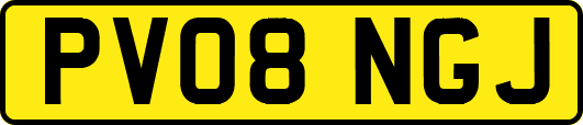 PV08NGJ