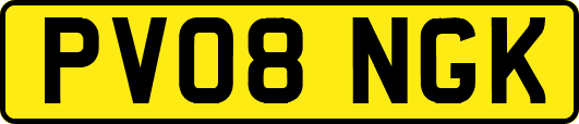 PV08NGK