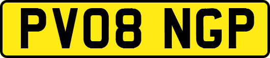 PV08NGP