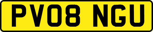 PV08NGU