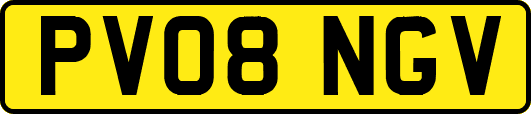 PV08NGV