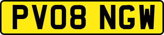 PV08NGW