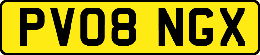 PV08NGX