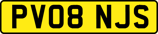 PV08NJS