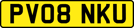 PV08NKU