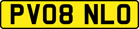 PV08NLO