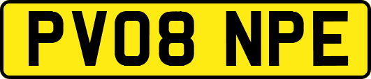 PV08NPE
