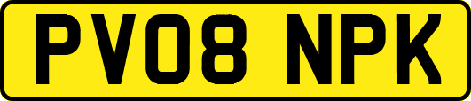 PV08NPK
