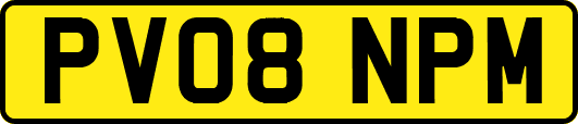 PV08NPM