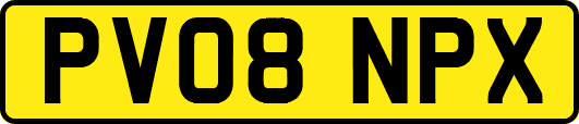 PV08NPX