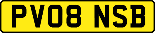 PV08NSB
