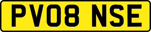 PV08NSE