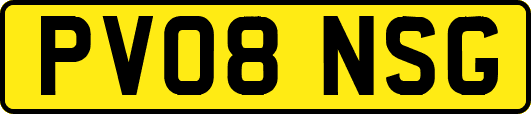 PV08NSG