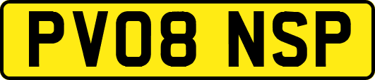 PV08NSP