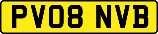 PV08NVB