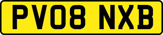 PV08NXB