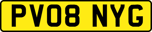 PV08NYG